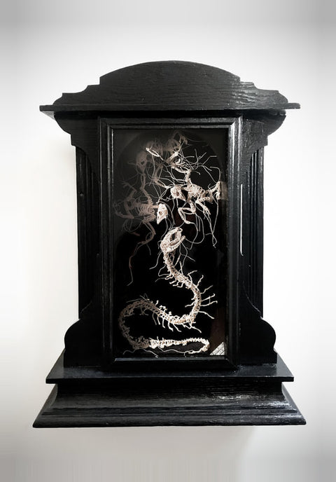Caitlin McCormack - Sanctum